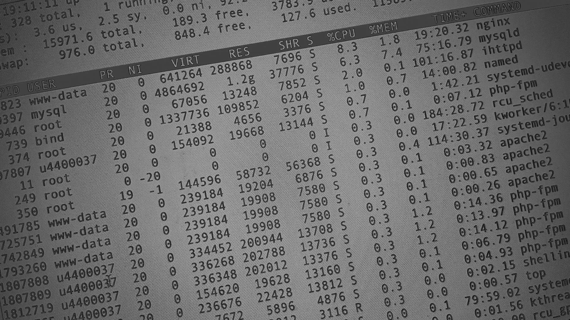 Настройка сервера в Ясном