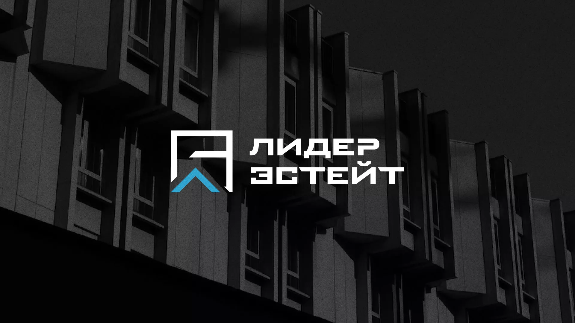 Разработка логотипа агентства недвижимости «Лидер Эстейт» в Ясном